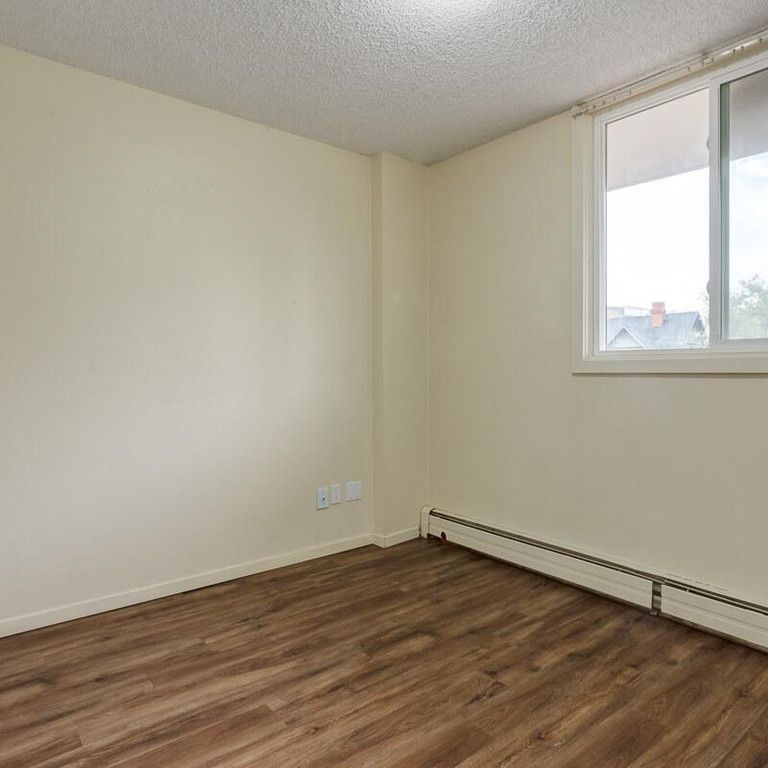 1 Bedroom - Photo 1