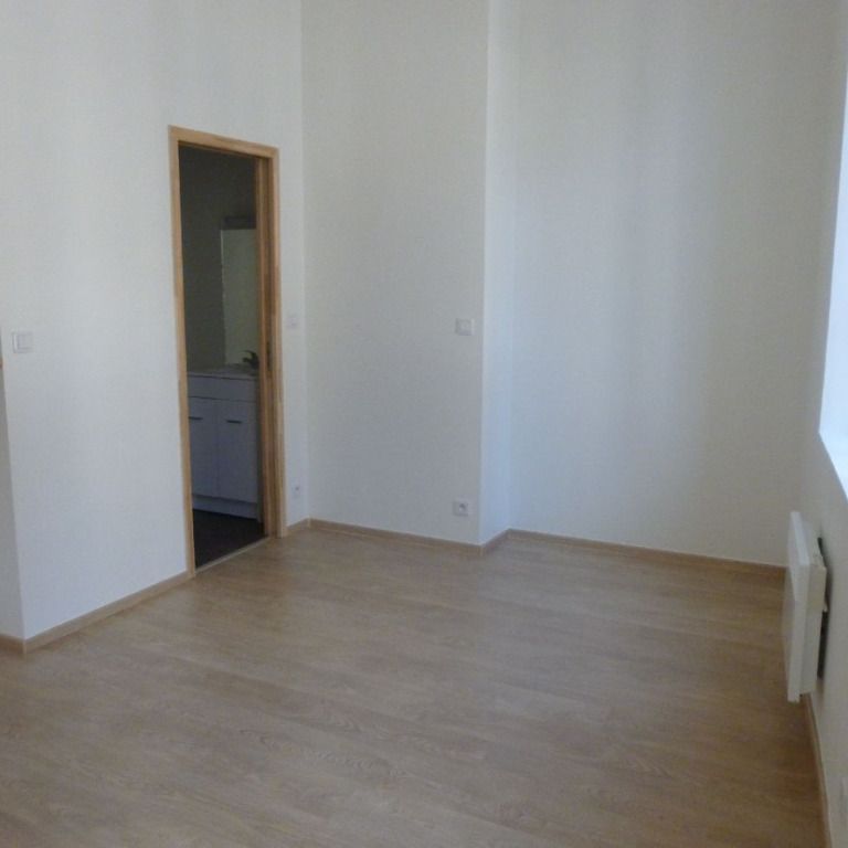 STUDIO A PROXIMITE DE LA CATHEDRALE ET DE LA GARE - Photo 1