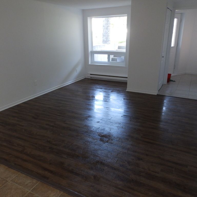 Logement 4 1/2 Demi Sous-sol Triplex - Photo 1