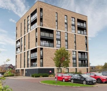 Auckland Wynd, Glasgow, G40 - Photo 5