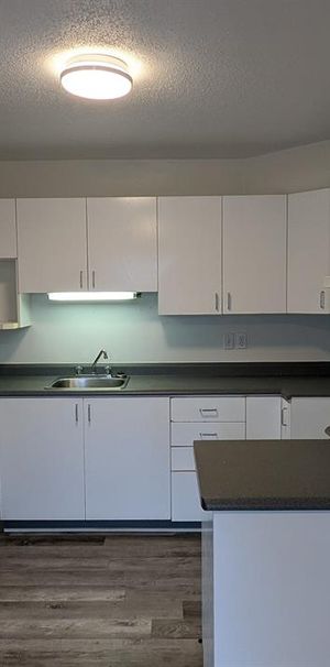 20 Rue Du Sommet (Hautes-Plaines) Logement 2 Chambres Dans Un Secteur Calme - Photo 1