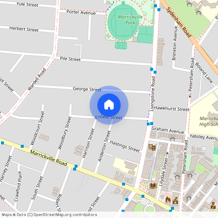 26 Enfield Street, NSW 2204, Marrickville