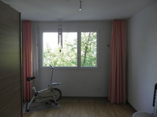 5.5 room apartment in Landquart for rent! - Photo 1