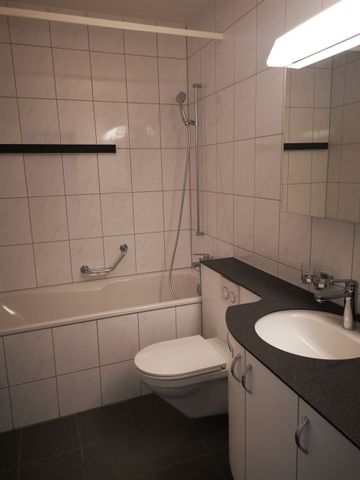 Gigantic roof terrace with a view over Birsfelden and Basel - Foto 5