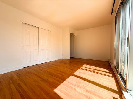 7427 Rue François-Perrault - Photo 3