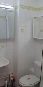 Location Appartement 1 pièce 24m² - Photo 4