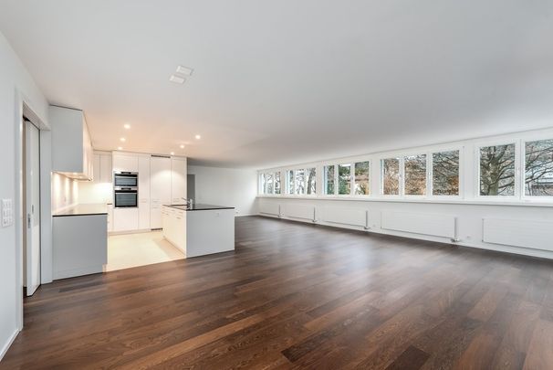 Einzigartige Wohnung am Zürichberg - Photo 1