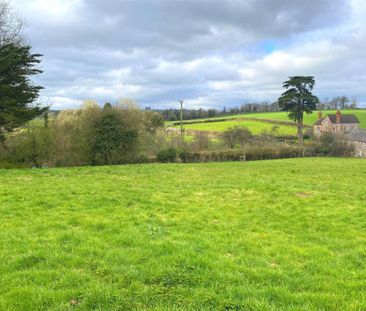 Barton Leys, Berry Pomeroy, Totnes - Photo 4