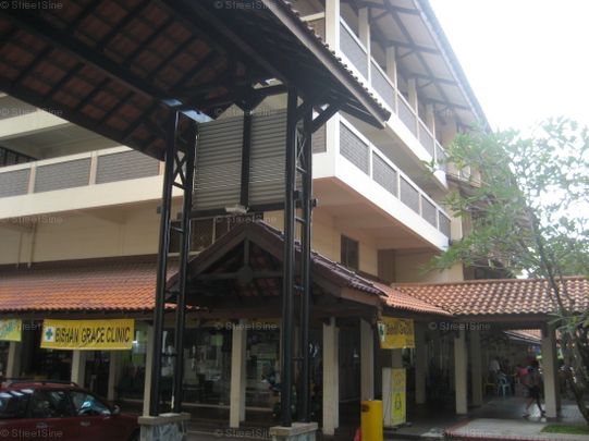 Blk 150 Bishan Green (Bishan), HDB 3 Rooms - For Rent - Photo 1
