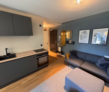 Mitte: Köpenicker Str: LUXUS 2-Zi-Whg mit 55 m² inkl. RIESEN SÜD Te... - Photo 1