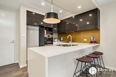 28/115 Canberra Avenue, Griffith ACT 2603 - Apartment For Rent - $650 | Domain - Photo 4