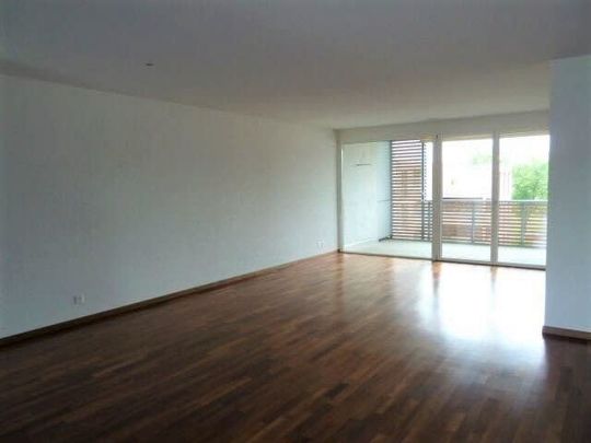 2.5 Zimmer, 87 m², EG - Foto 1