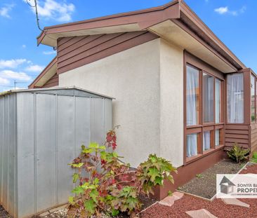 Comfortable 1 bedroom unit - Somerset - Photo 5