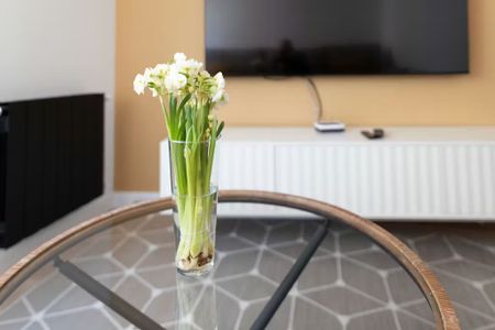 Calle de las Navas de Tolosa, Madrid, Community of Madrid 28013 - Photo 2