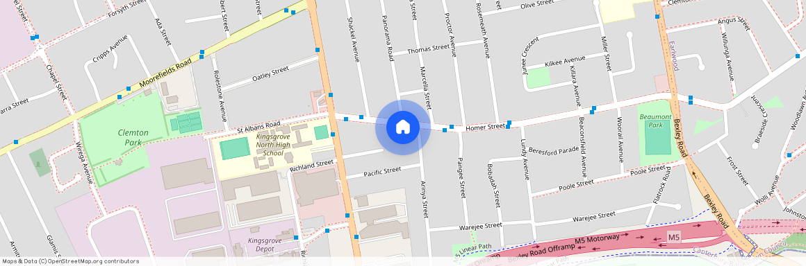 616A Homer St, NSW 2208, Kingsgrove