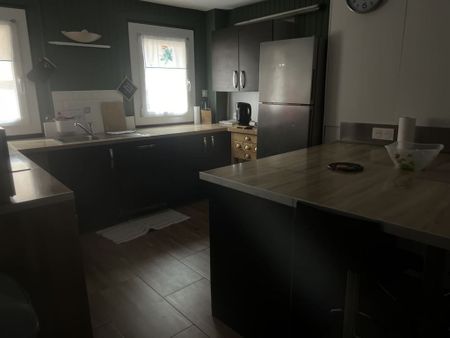 location Appartement 4 pièces à Colmar - REF 1420-IB - Photo 4