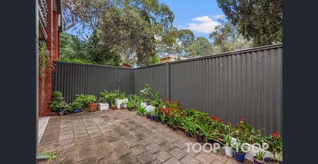 BATHED IN LIGHT, BUILT FOR LIVING - Photo 1