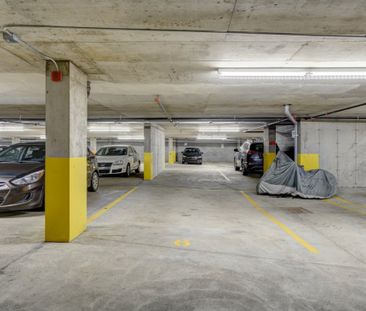 Appartement à louer - Montréal (Ville-Marie) (Centre) - Photo 4