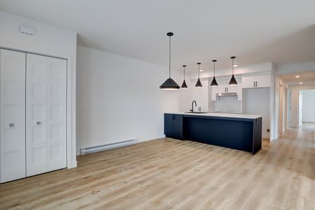 65, rue Michel-Robidoux #202, East-Angus - Photo 4