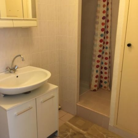 Location Appartement 1 pièce Meublé 26m² MONTPELLIER 34080 - Photo 3