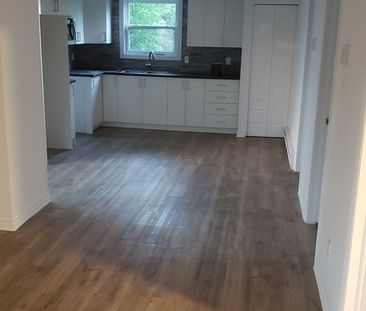 4 1/2 (2-21 Rue Monette) - Photo 2