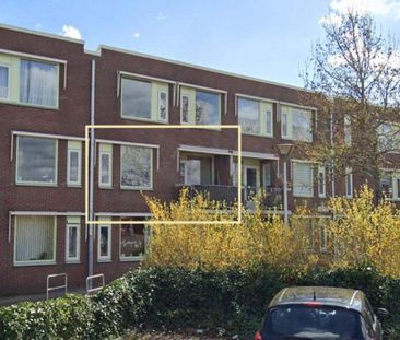 Appartement au rez-de-chaussée Roelof Bootstraat 21, Edam - À louer - Photo 5