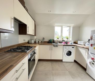 14 Nile Road - Photo 4