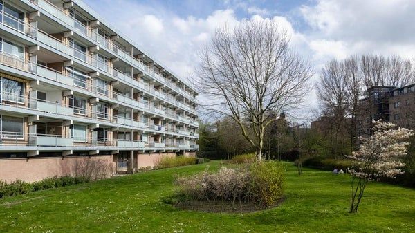 Te huur: Appartement Boerhaavelaan in Leiden - Foto 1