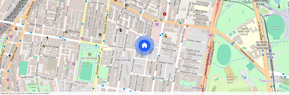 81 Boronia Street, NSW 2016, Redfern