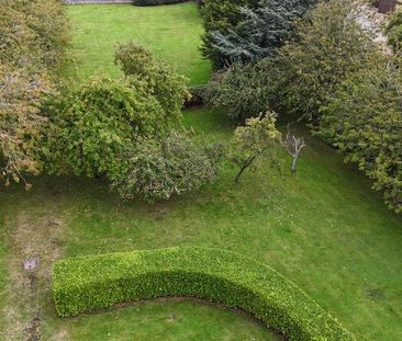 3 bedroom property to rent - Photo 6