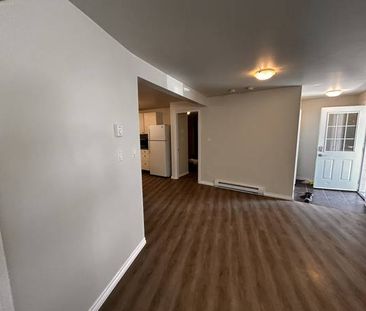 Two Bedroom Legal Suite walkout - Photo 1