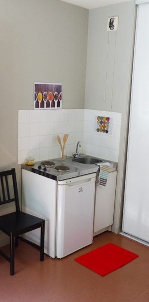 Location Appartement 1 pièce 17m² GRENOBLE 38000 - Photo 1