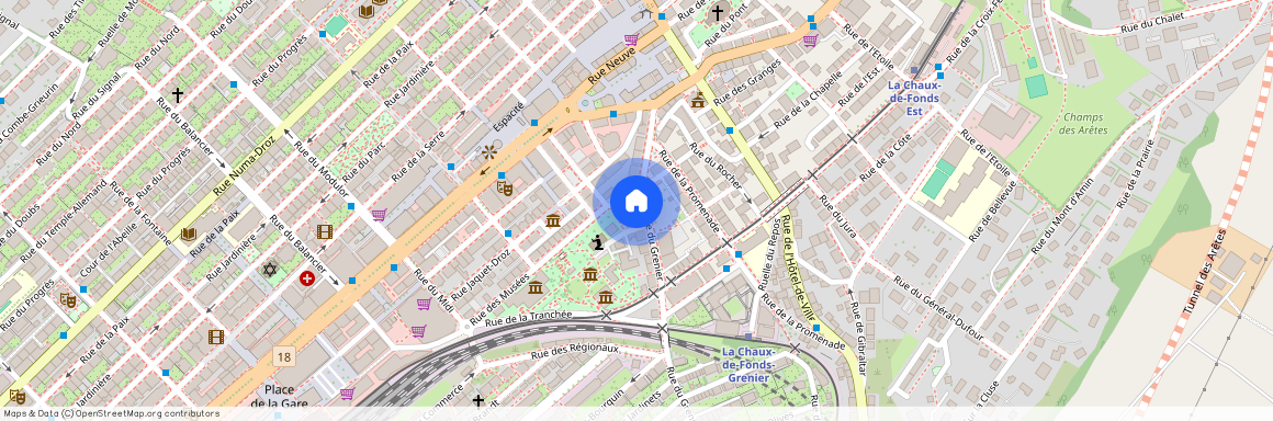 2300, La Chaux-de-Fonds, Rue Du Grenier, 24