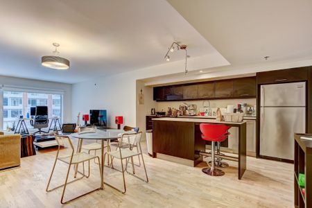 Condo for rent, Montréal (Ville-Marie) - Photo 5