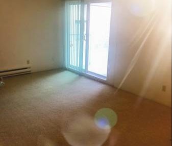 1 BEDROOM BEAUTIFUL APARTMENT FOR RENT MOUNT PLEASANT - Photo 4