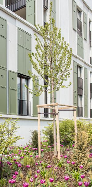 Bel appartement moderne de 1.5 pièce - Foto 1