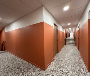 STUDIO MEUBLE - ALBI PROCHE FAC - Photo 1