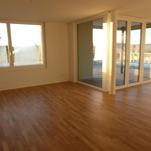 Moderne 4.5-Zimmer-Attika-Wohnung mit grosser Dachterrasse - Foto 1