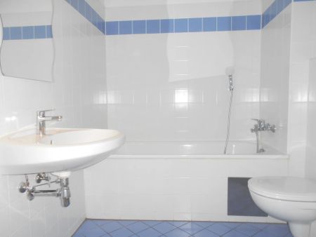 Sonnige Garconniere mit AllgGarten nahe CITY PARK - Foto 4