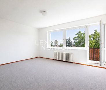 Pronájem domu 224 m² s pozemkem 858 m² - Photo 2