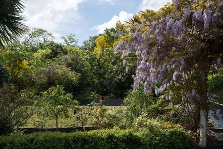 Sunny Elevated Home Near Tahunanui Beach – Privacy, Views and Character - Photo 3