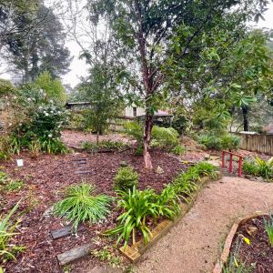 Beautifully Presented Home In South Wentworth Falls! - Photo 3