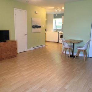 Grand studio tout équipé près du mont Ste-Anne - Photo 2