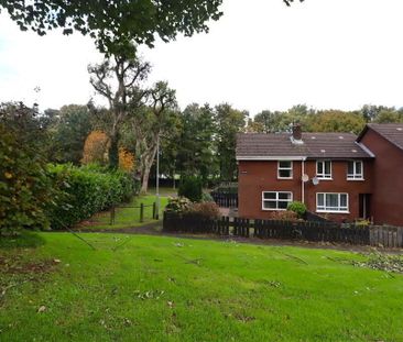 20 Knockburn Drive, Lisburn, BT28 2QJ - Photo 3