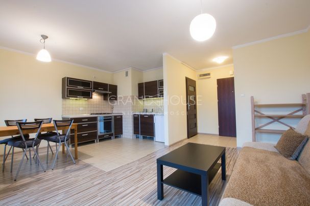 Na wynajem kawalerka na Warszewie - Zdjęcie 1