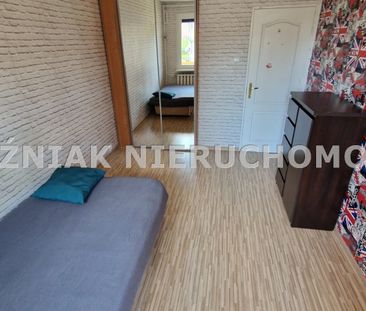 Wałbrzych, Piaskowa Góra Mieszkanie na wynajem - Photo 3