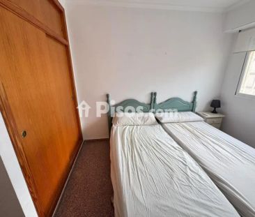 Apartamento en alquiler en Arenales del Sol - Foto 4