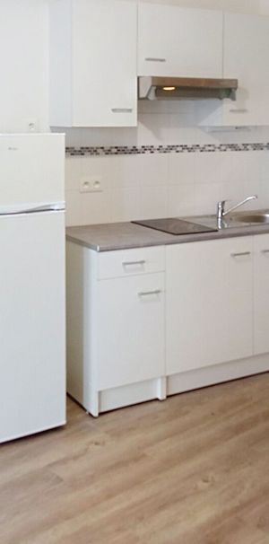 Location Appartement 1 pièce 23m² - Photo 1