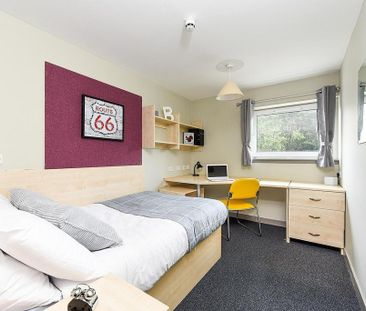1 bedroom in a flat share to rent - Photo 5