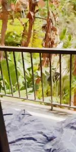 267 Bulwara Rd, Sydney - Photo 4